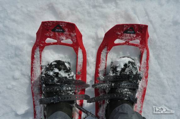 Calçados para caminhar na neve emTurret Point, em King George Island, na Antártida